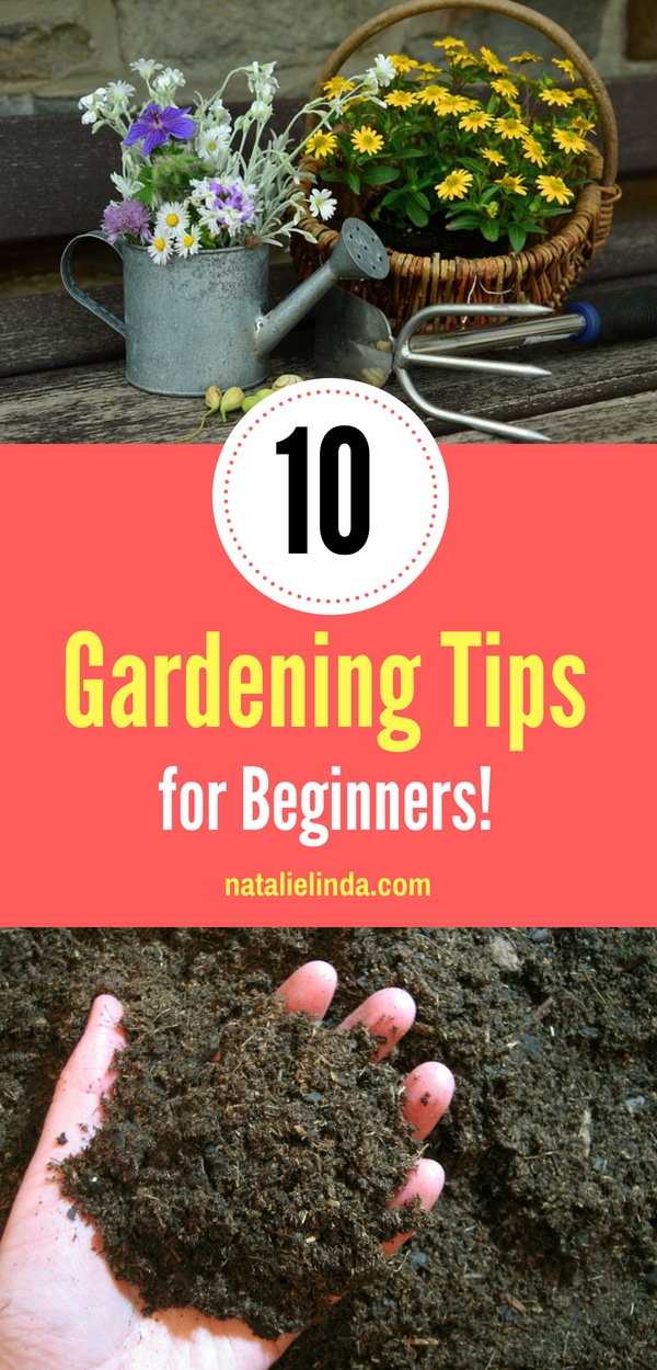 10 gardening tips - Natalie Linda