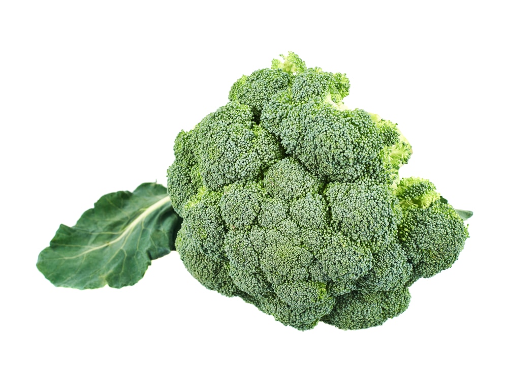 Broccoli is a vegetable that thrives and grows in containers!