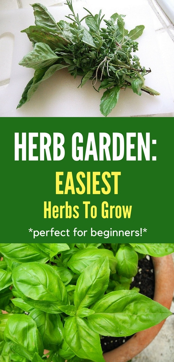 Herb Garden Pin 1 Natalie Linda Herb Garden Pin 1 Natalie Linda