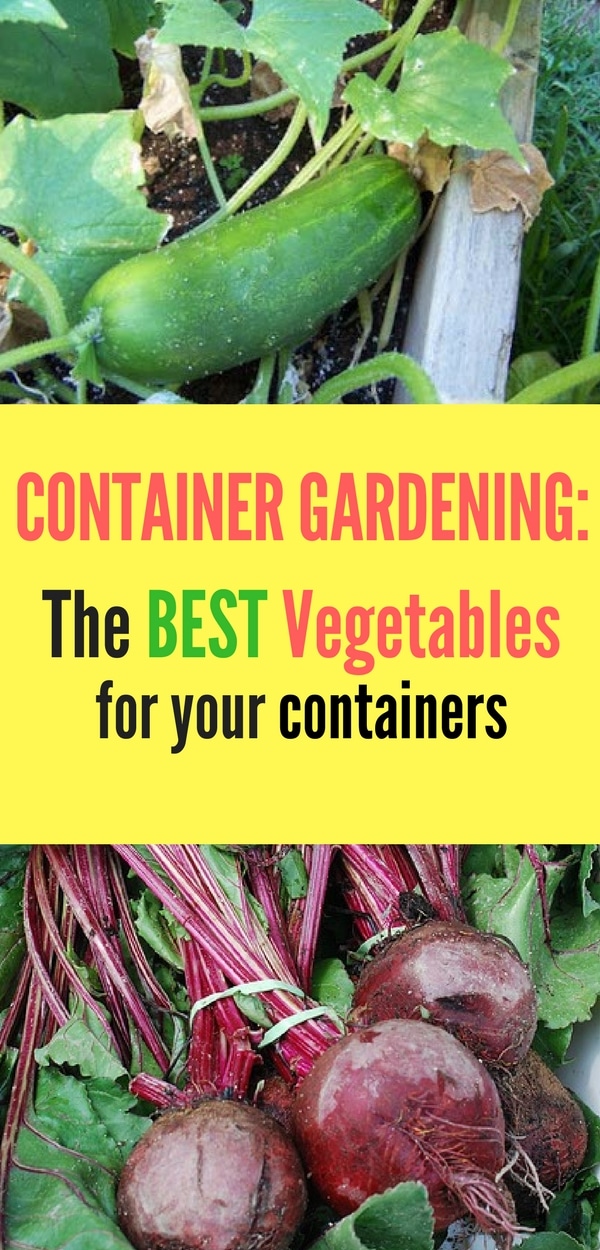 16 Vegetables That Grow In Containers - Inspiration for Your Home and ...