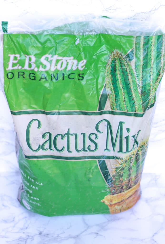 cactus mix for caring for succulents