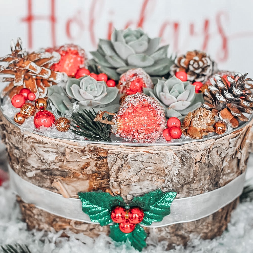 A Beautiful DIY Succulent Centerpiece for Your Christmas Table