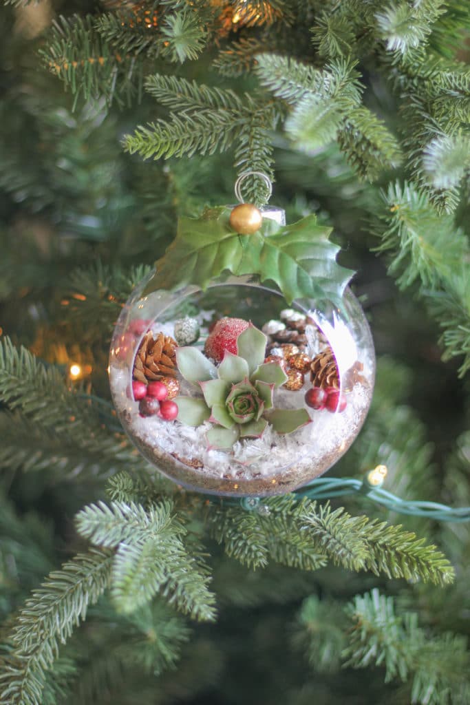 A DIY succulent Christmas ornament hanging on the Christmas tree!
