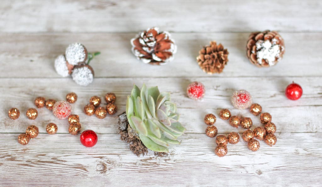 Christmas decorations including artificial pinecones, gold sparkly beads and an Echeveria succulent to use for making DIY succulent Christmas ornaments!
