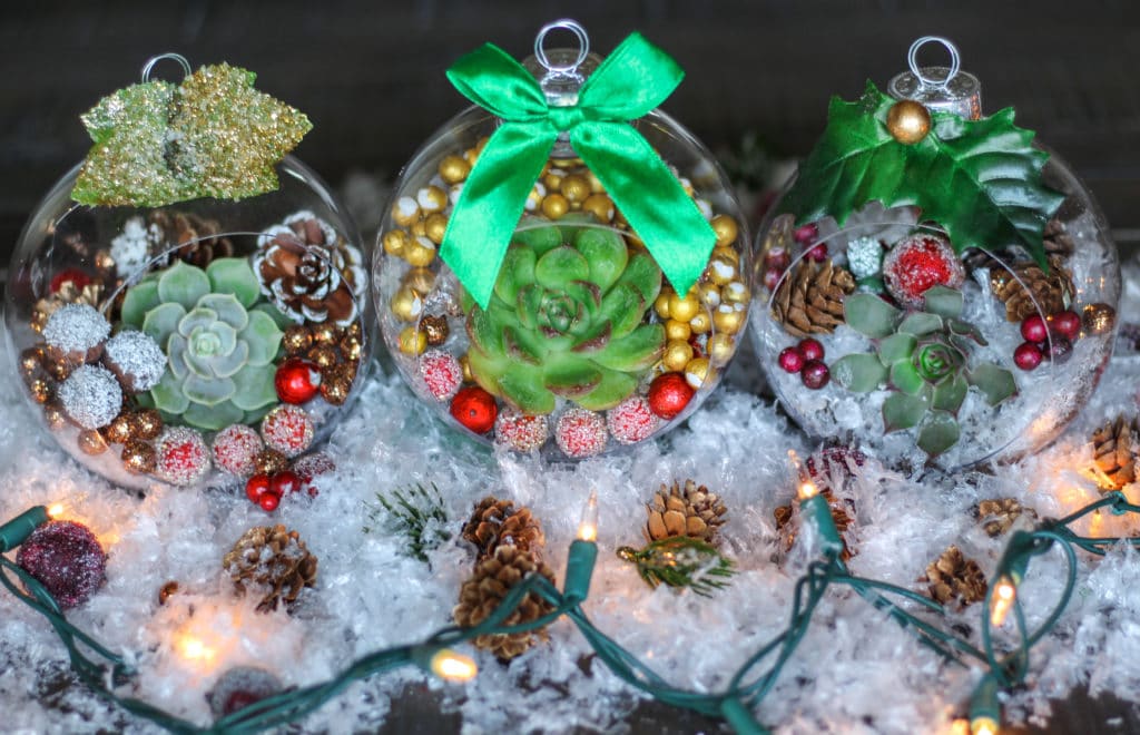 DIY Christmas ornaments with live succulents, artificial snow, and read beads.