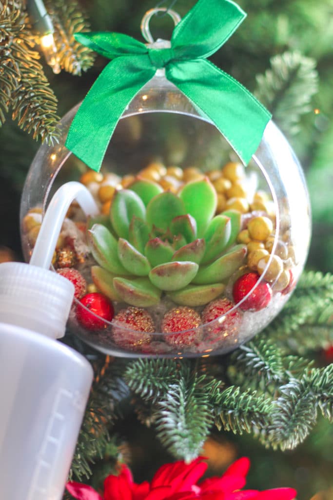 DIY Christmas ornaments with live succulents planted in plastic tree ornament