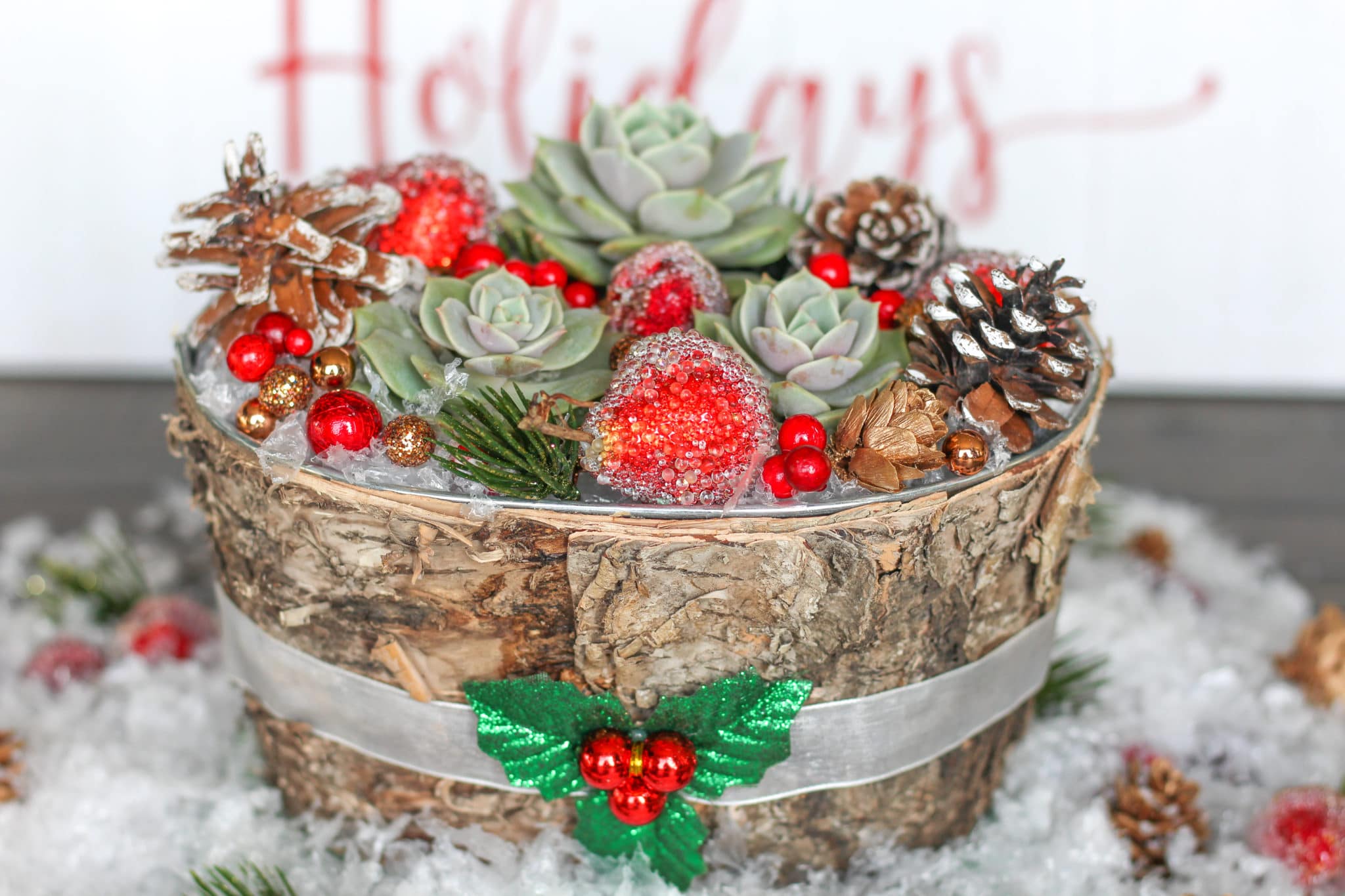 A Beautiful DIY Succulent Centerpiece for Your Christmas Table