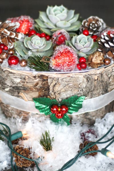 A Beautiful DIY Succulent Centerpiece for Your Christmas Table