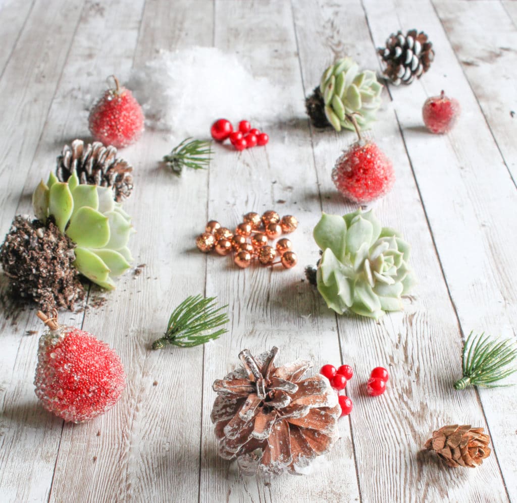 Crafts for a Succulent Christmas Centerpiece