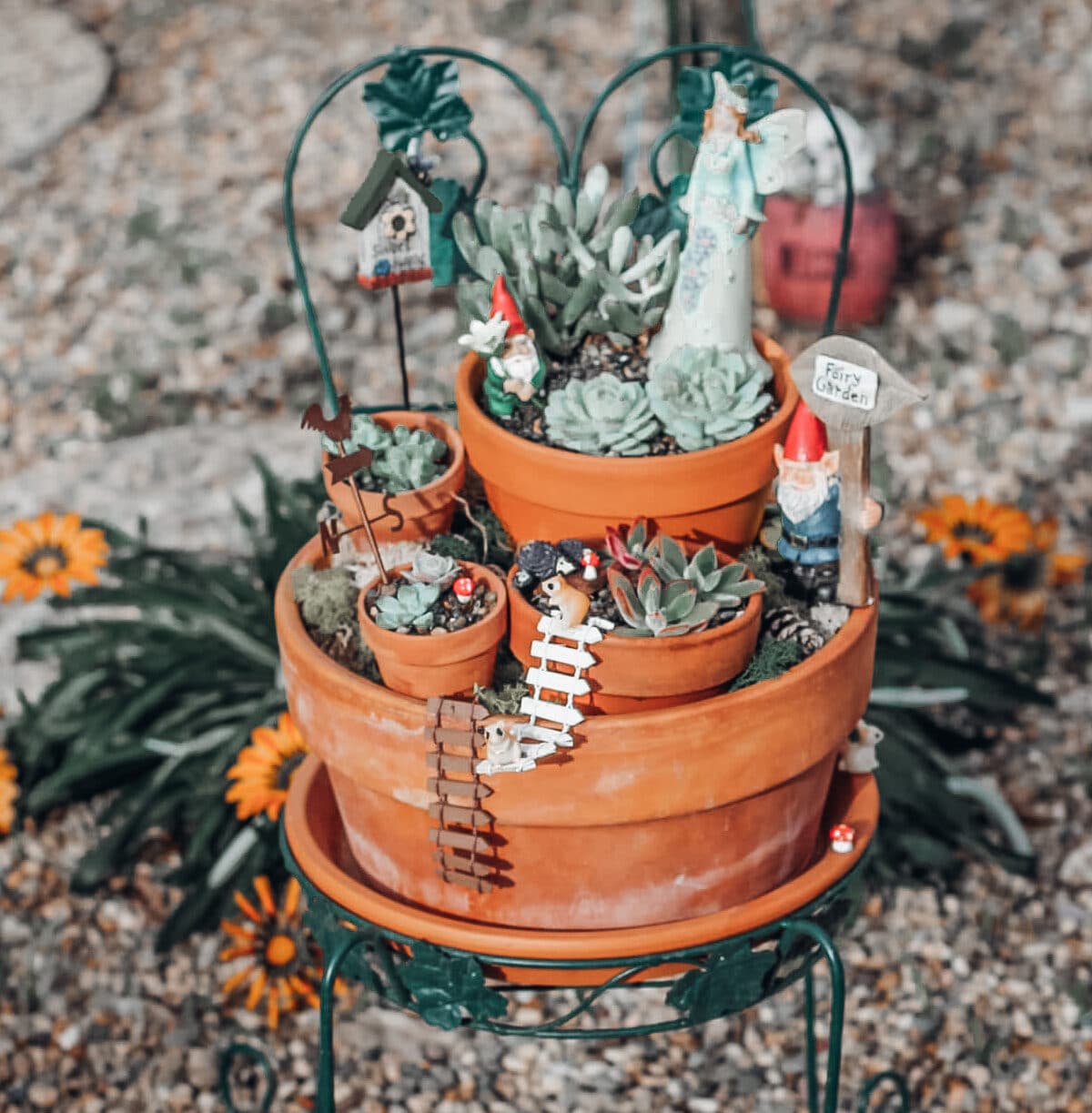 DIY Succulents Fairy Garden Craft