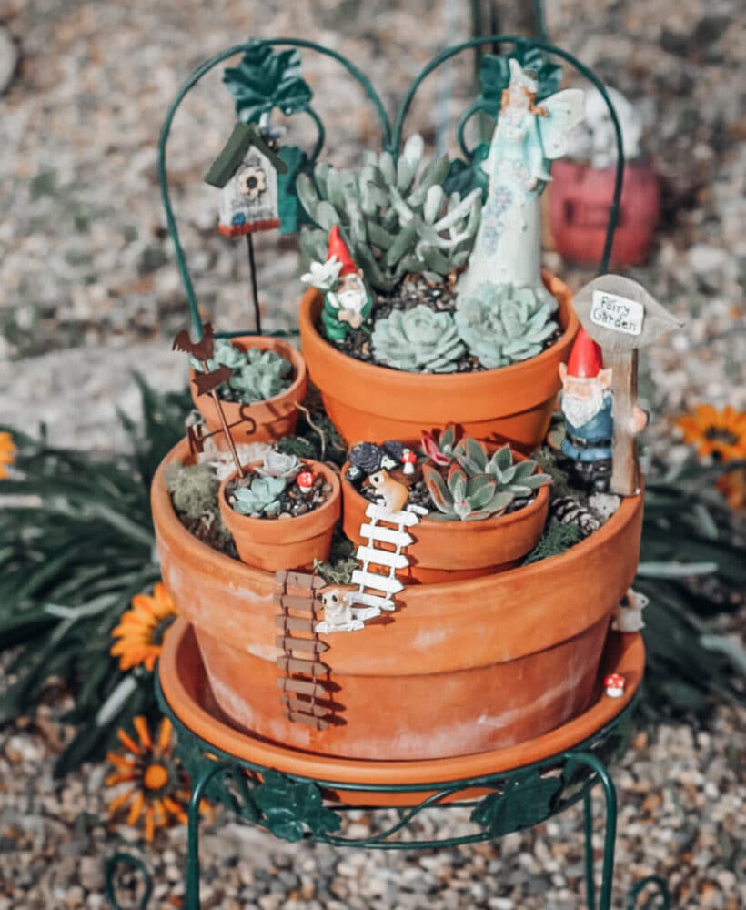 DIY Succulents Fairy Garden Craft