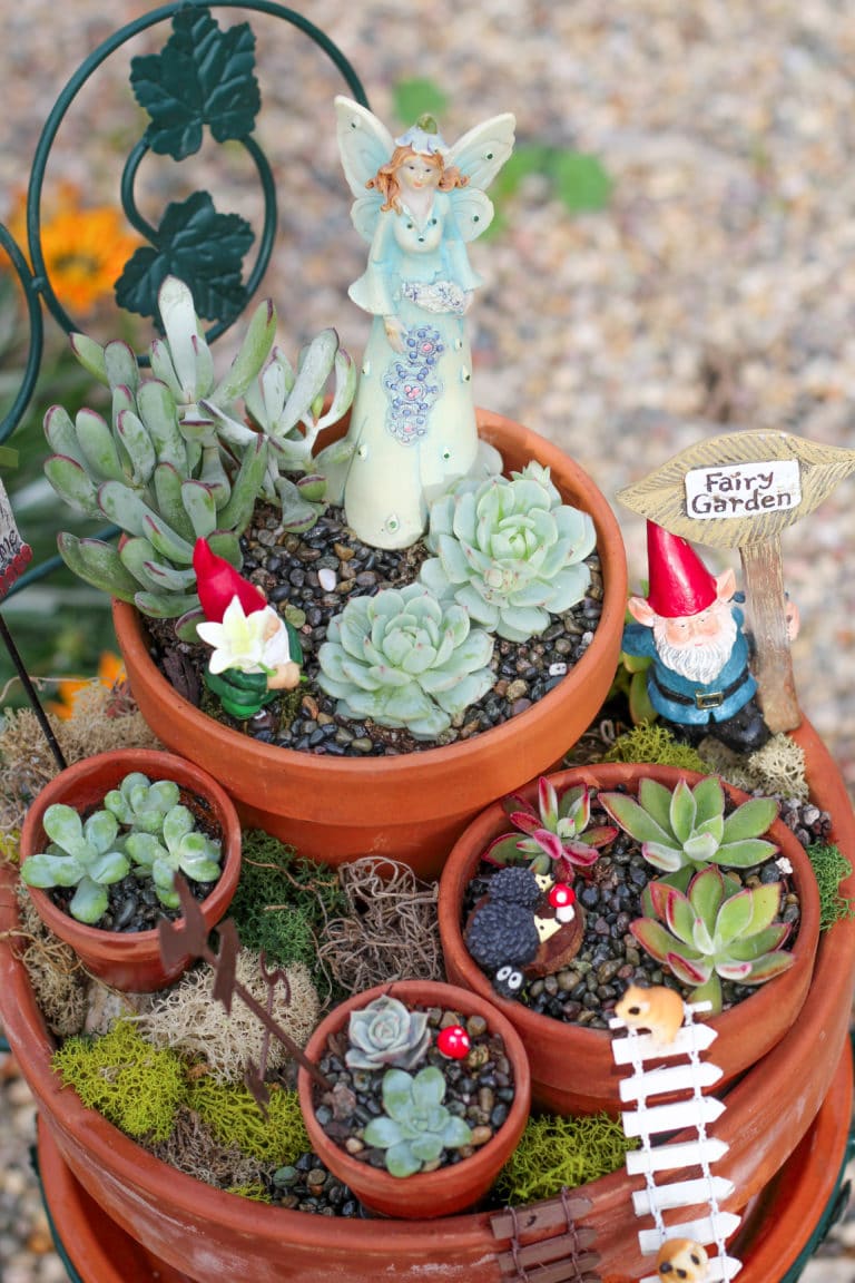 Dish garden fairy garden filled with tiny succulents planted in various terra cotta planters and decorated with small gnomes