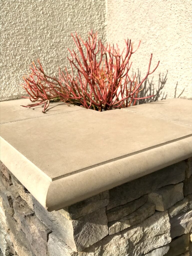 This outdoor Firestick Euphorbia cactus stays orange in full sun conditions.