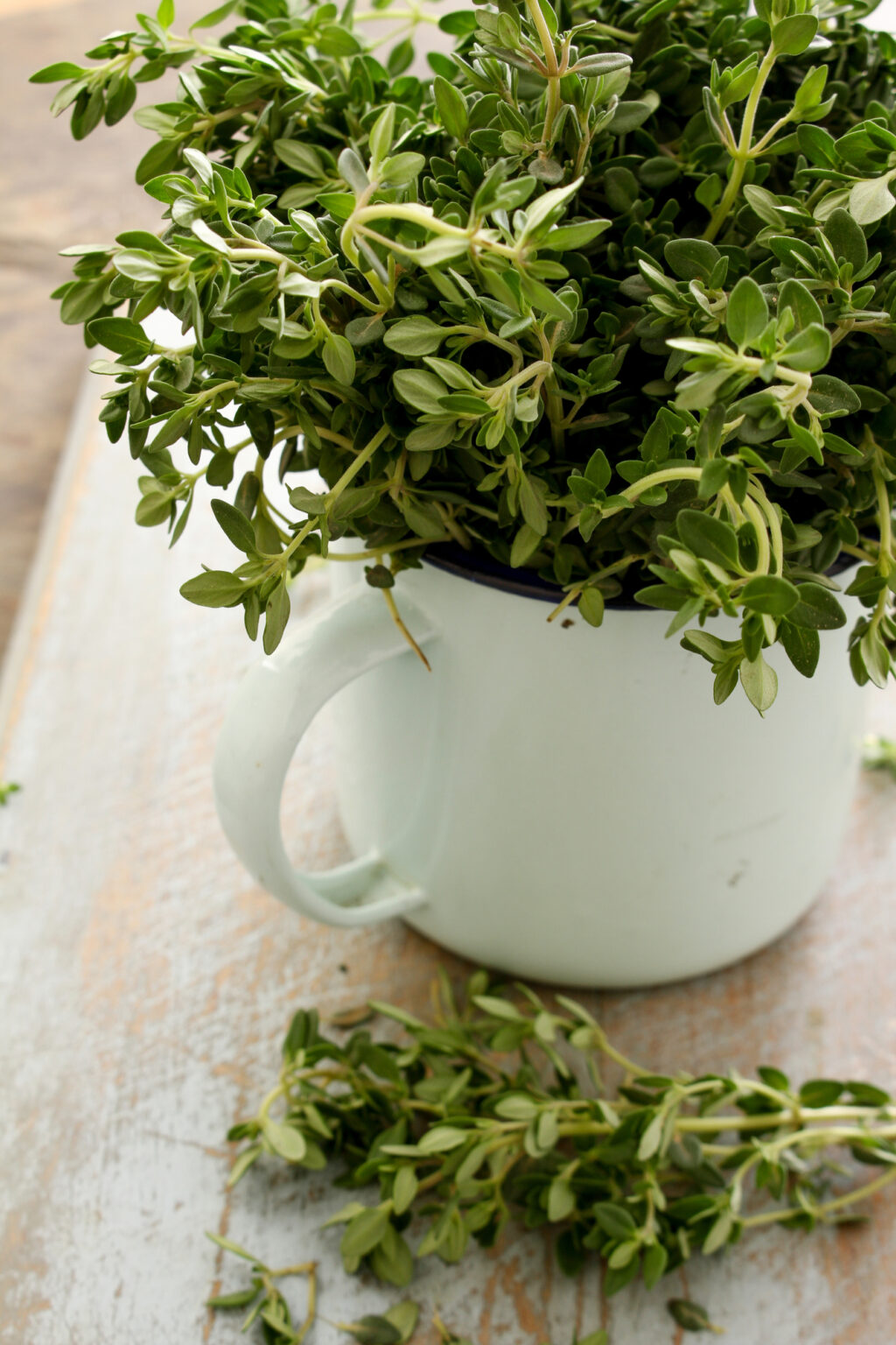 10 Easy-to-Grow Herbs - Natalie Linda