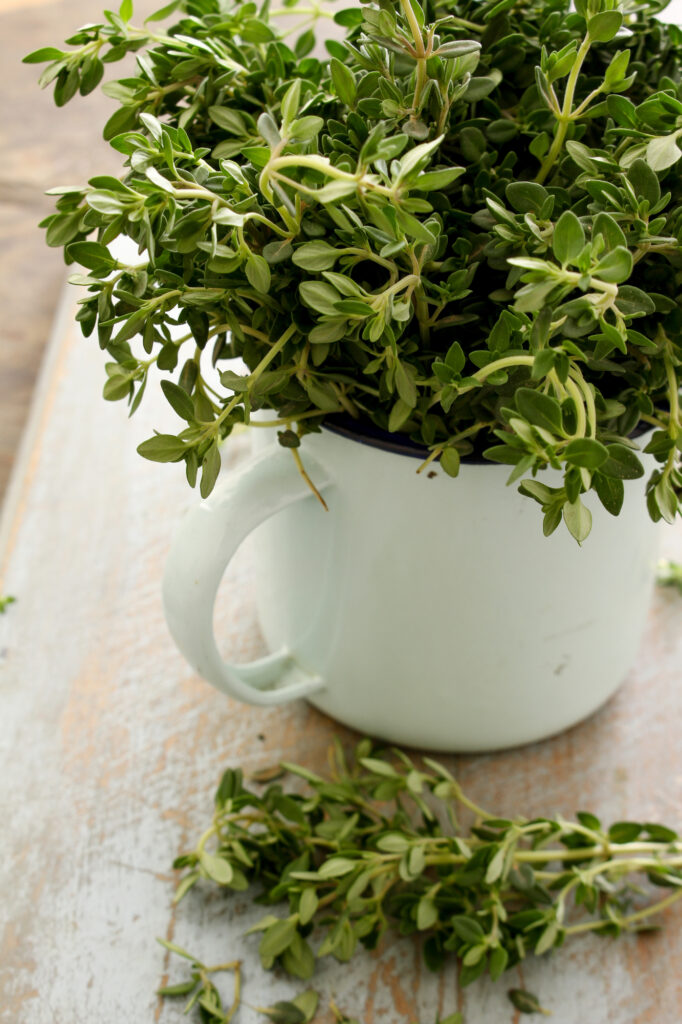 Tarragon is an easy-to-grow herb, too!