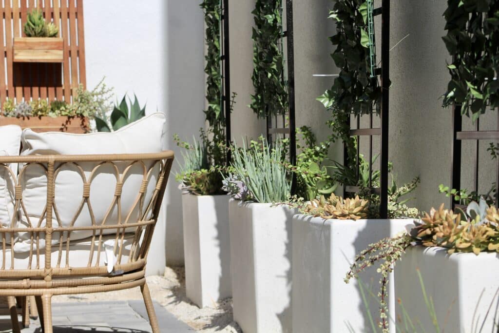 Colorful succulents planted in rectangular pots and wall garden. Succulent arrangements adorn a side patio with white patio couch.