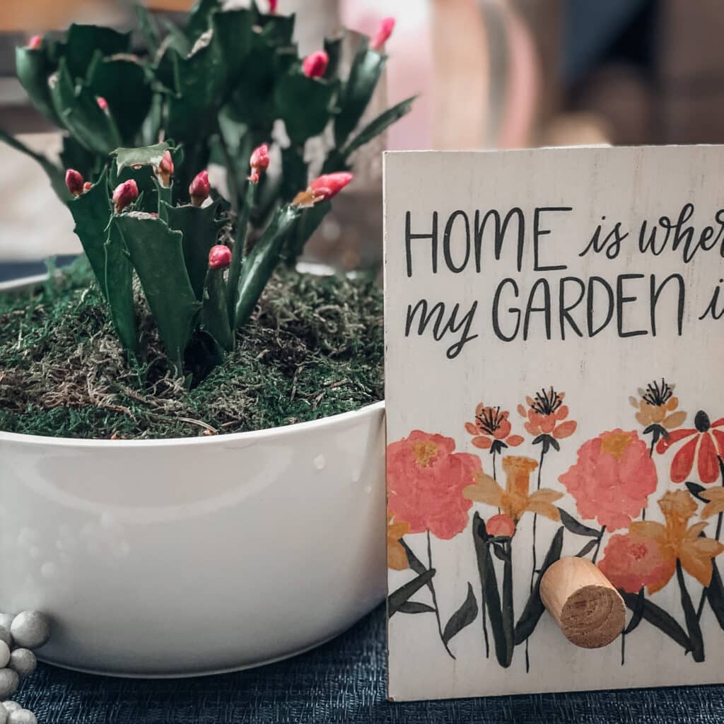 Thanksgiving cactus planted in white pot next to small sign that says Home is where my Garden is". This indoor succulent has thick green stems with small pink buds at the tips.