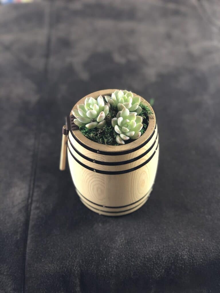Succulents planted into small ornamental wooden barrel container