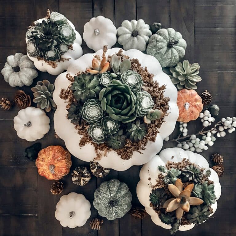 Succulent Pumpkins DIY Centerpiece for Fall