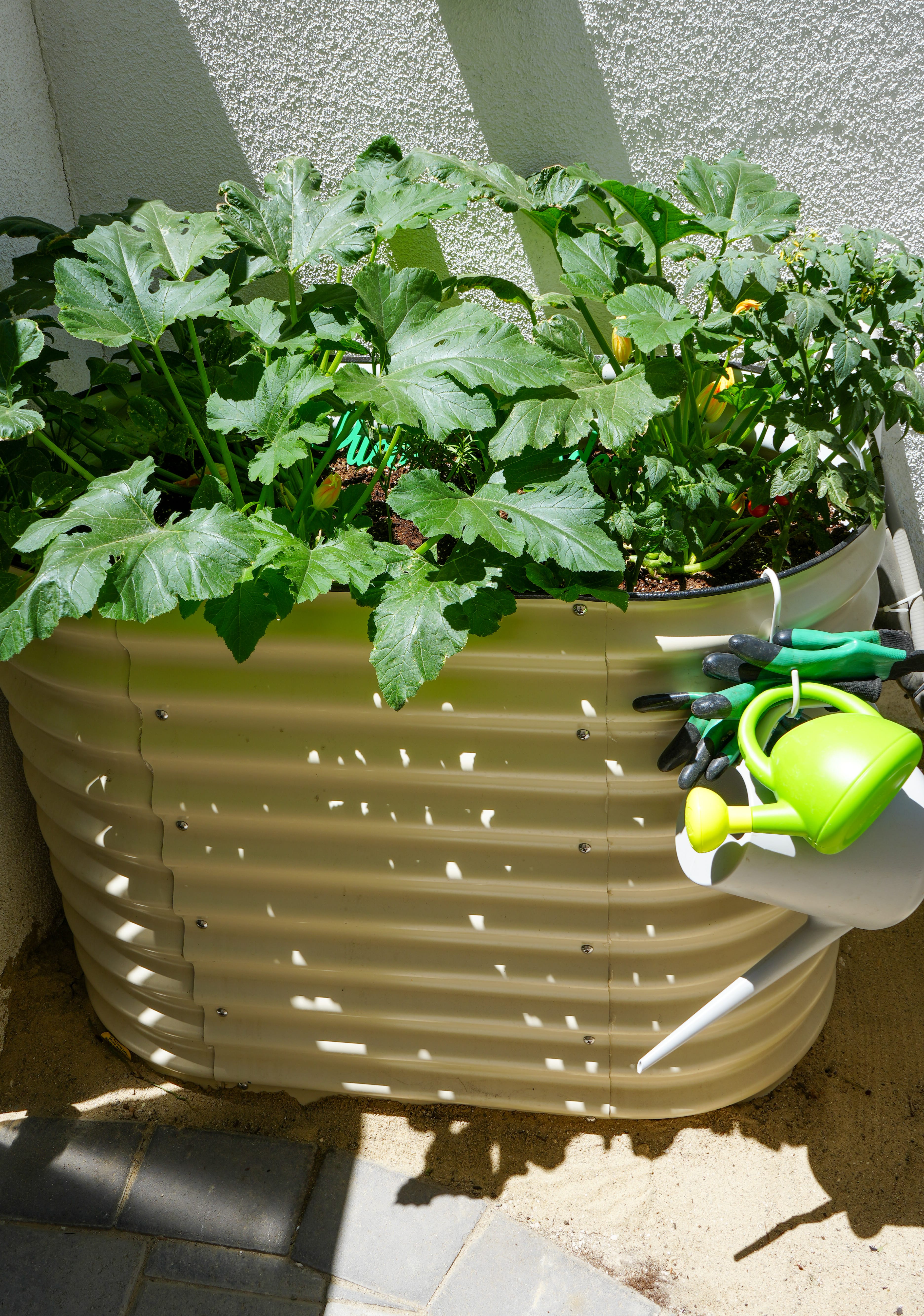 A tall raised garden container filled with zucchini plants. Also shown is garden gloves and watering cans hanging from garden hook.