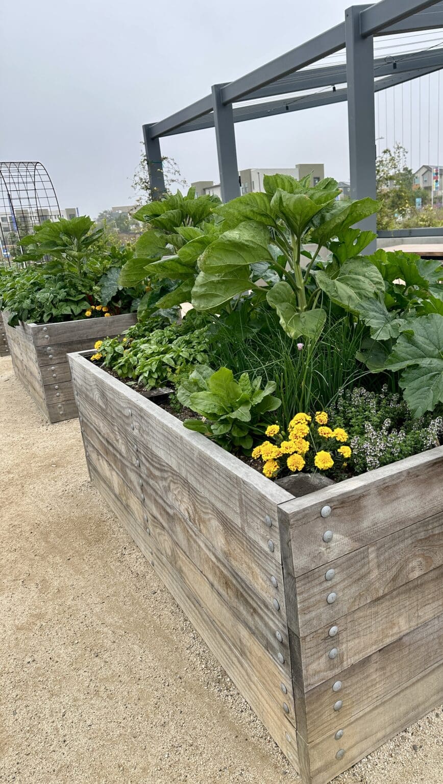 Kitchen Storm Update: Grow A Thriving Garden   Even In A Small Space! - 7s1bjxd