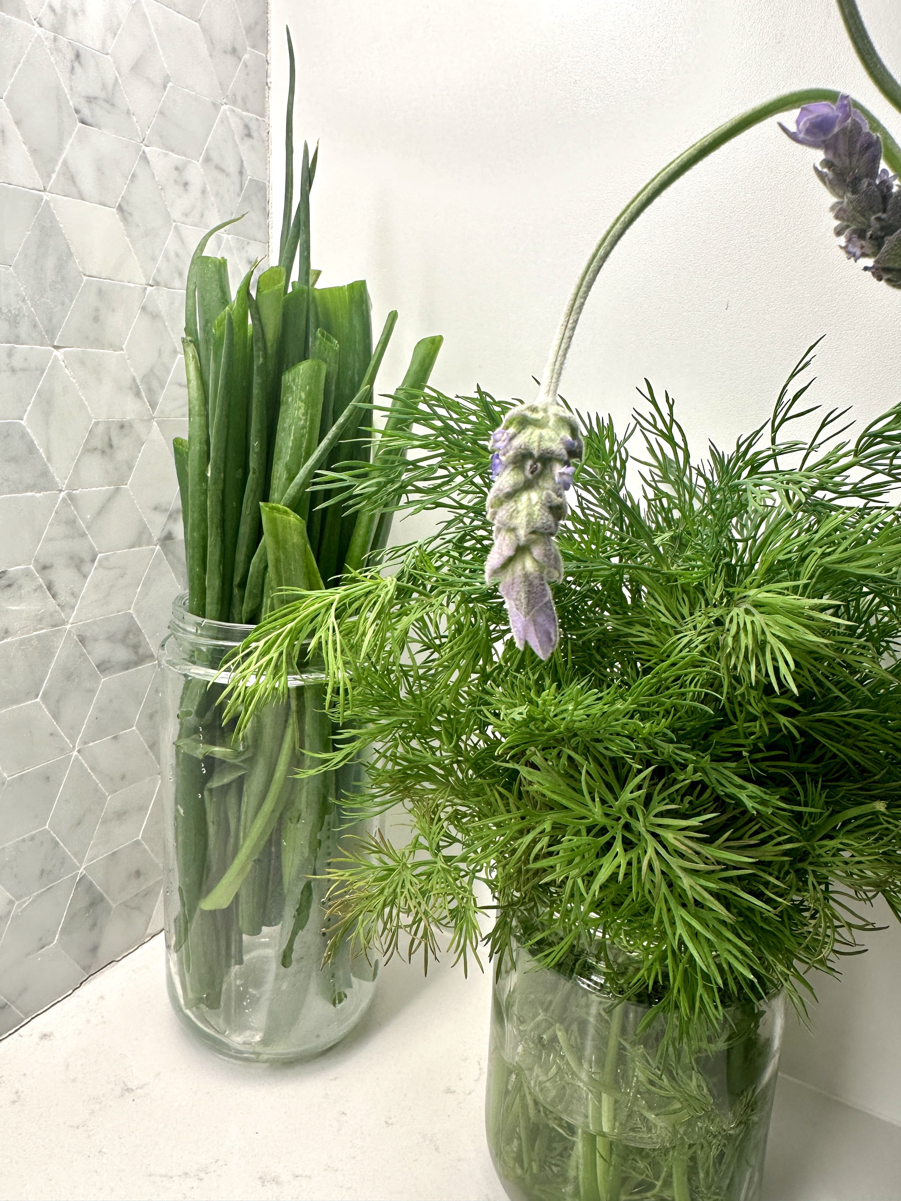 Green Onion Cuttings in Mason Jar