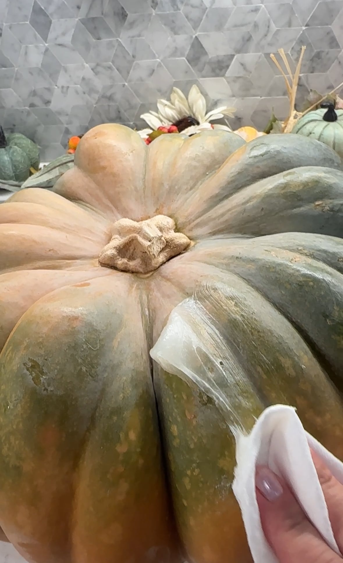 Large pumpkin with a gallop of aquaphor on it